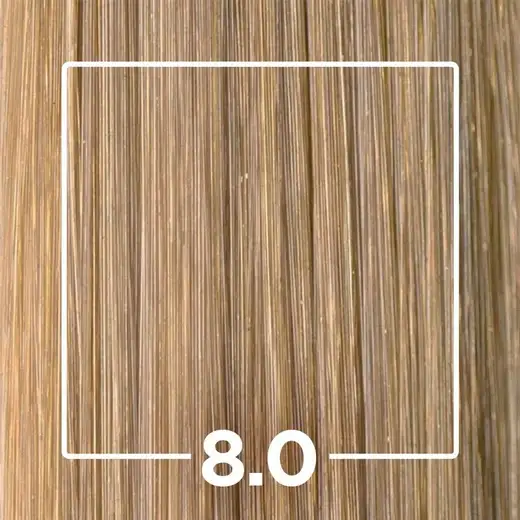 Kit Prático Maxton Louro Claro Energia 8.0