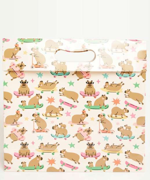 Embalagem Presente Capivara Marisa