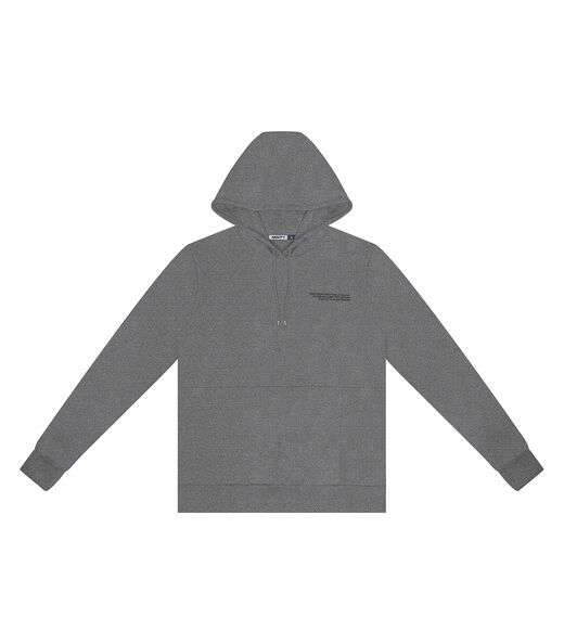 Blusão Juvenil Masculino Com Capuz Minty Cinza