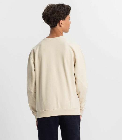 Blusão Juvenil Masculino Em Moletom Minty Bege