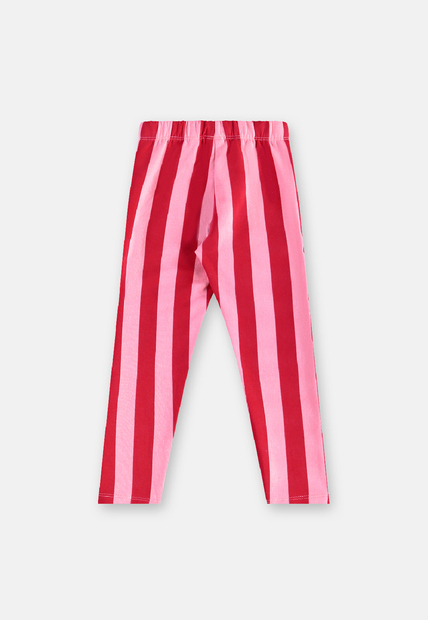 Conjunto Tulipa Blusão Calça Três e Já