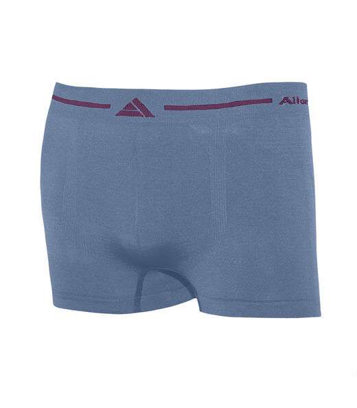 Cueca Boxer Lisa Microfibra Altomax Cinza