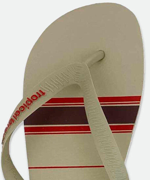 Chinelo Masculino Estampa Listras Tropical Brasil 