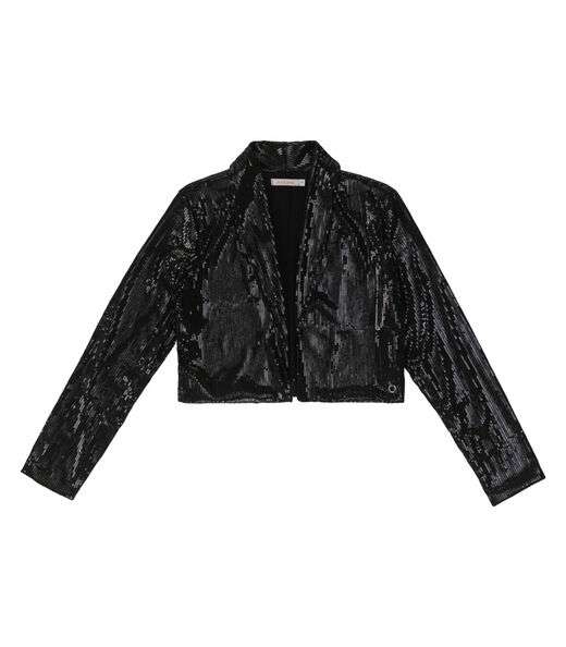 Blazer Feminino Em Paetê Endless Preto