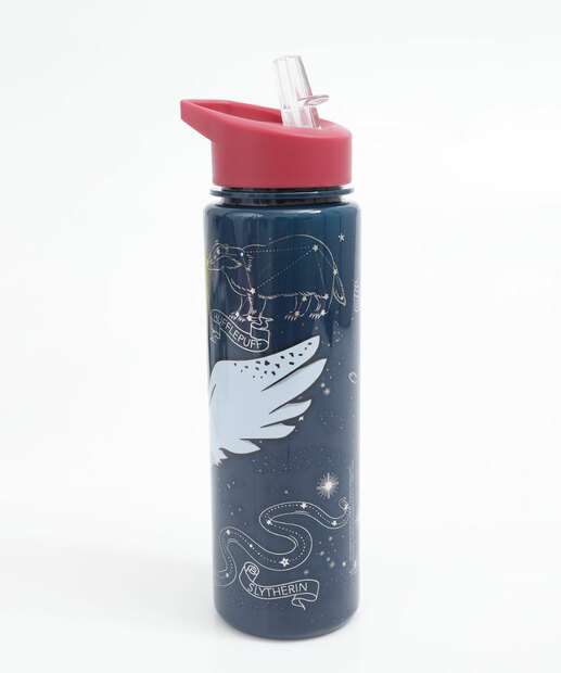 Garrafa Squeeze Harry Potter Warner Bros 650ml