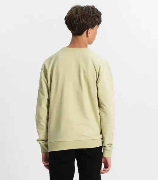 Blusão Juvenil Menino Em Moletom Minty Verde