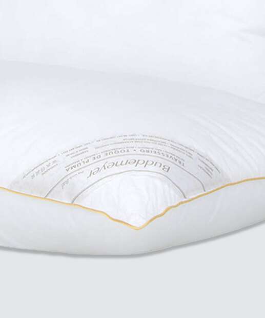 Travesseiro En Vogue Buddemeyer 1 Peça