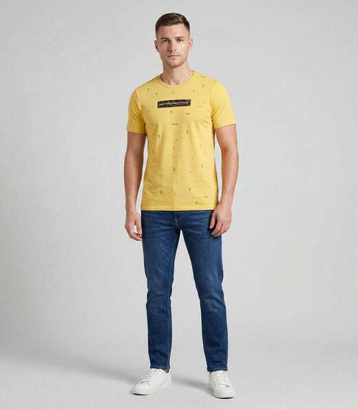 Image_Camiseta Masculina Em Meia Malha Select Amarelo